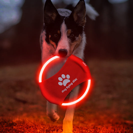 Illuminate Playtime with the Dog Flying Disc - LED Glowing Interactive Toy for Fun and Fitness